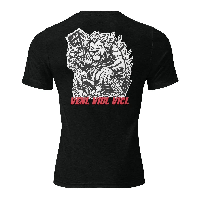 One-DAY Sale Veni. Vidi. Vici. Shirt